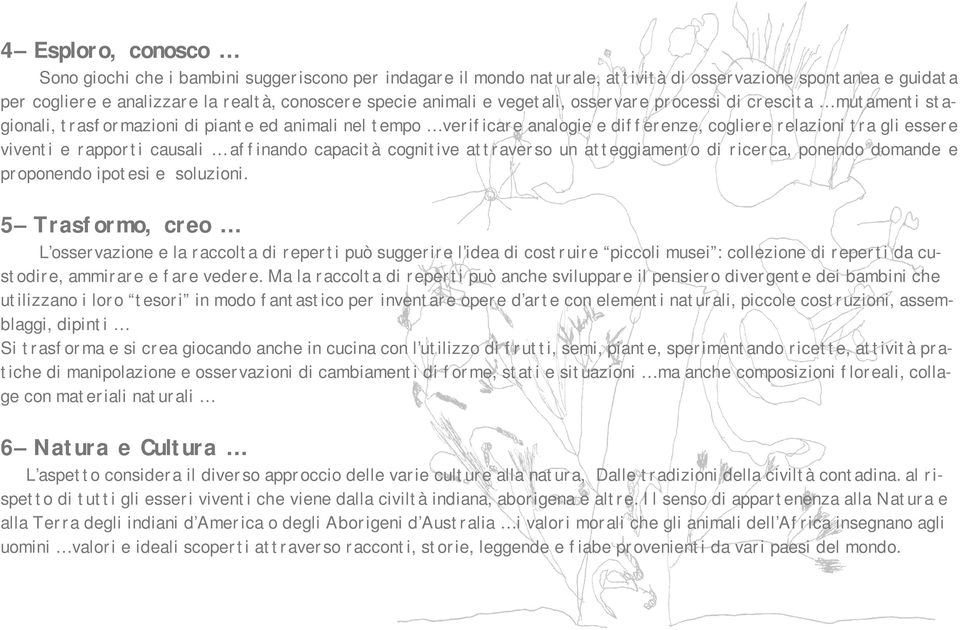 causali affinando capacità cognitive attraverso un atteggiamento di ricerca, ponendo domande e proponendo ipotesi e soluzioni.