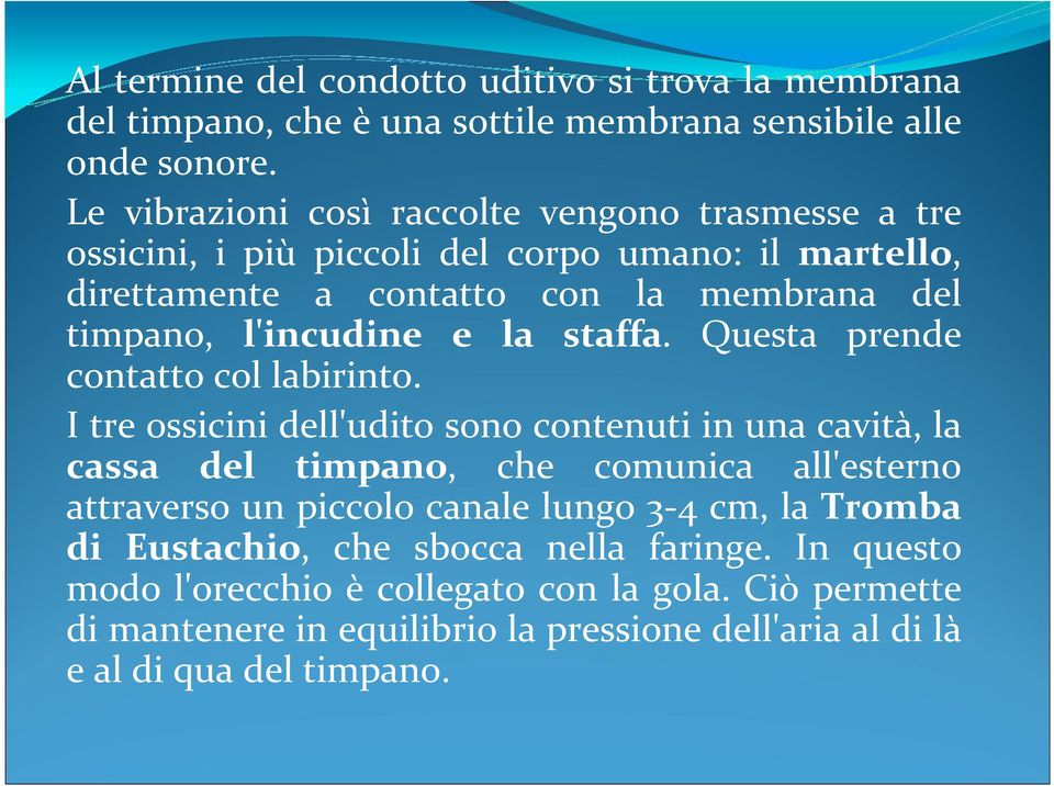 la staffa. Questa prende contatto col labirinto.