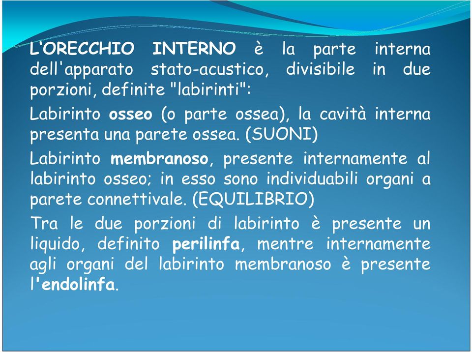 (SUONI) Labirinto membranoso, presente internamente al labirinto osseo; in esso sono individuabili organi a parete