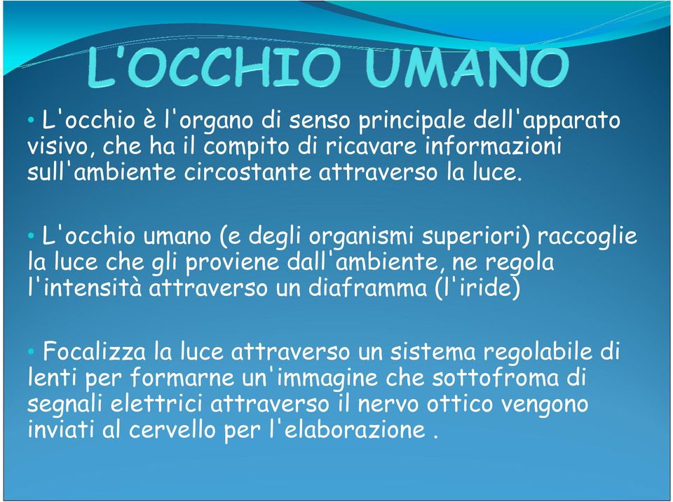 L'occhio umano (e degli organismi superiori) raccoglie la luce che gli proviene dall'ambiente, ne regola l'intensità