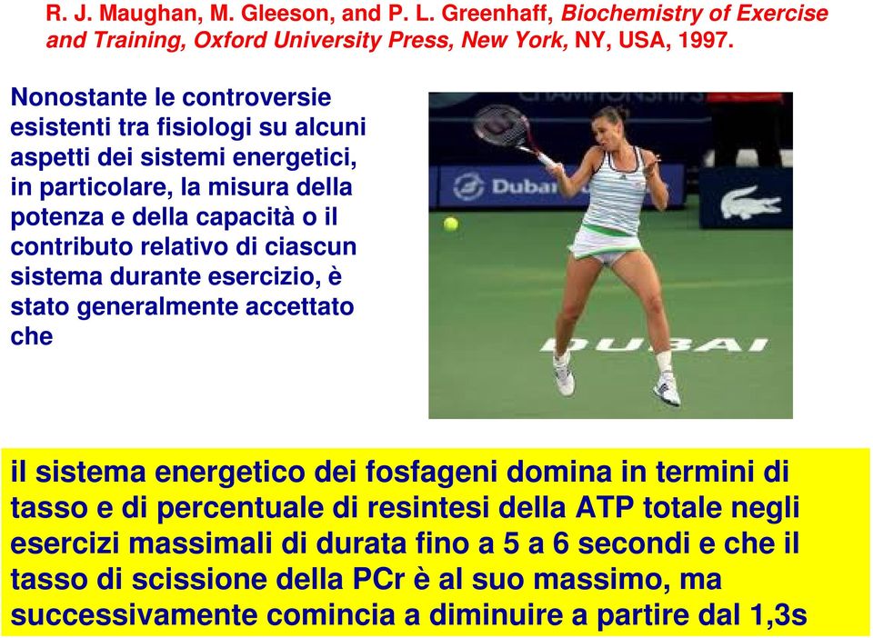 relativo di ciascun sistema durante esercizio, è stato generalmente accettato che il sistema energetico dei fosfageni domina in termini di tasso e di percentuale di