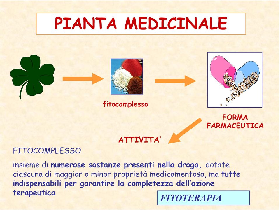 dotate ciascuna di maggior o minor proprietà medicamentosa, ma tutte