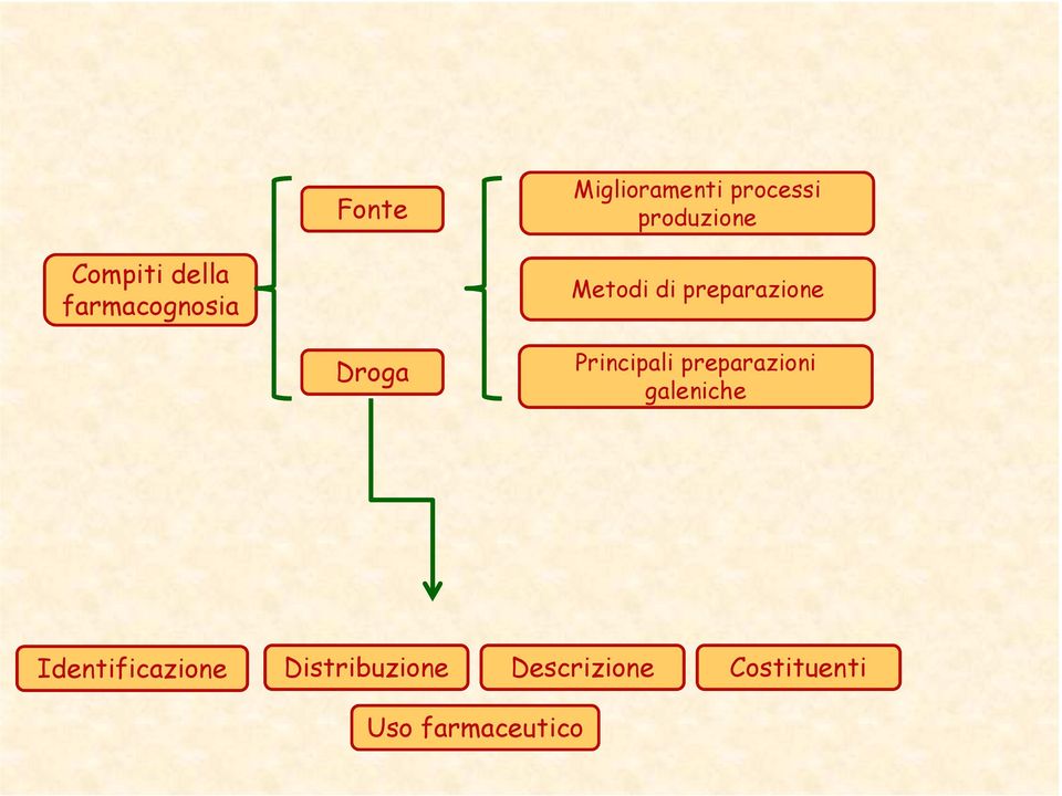 Principali preparazioni galeniche Identificazione