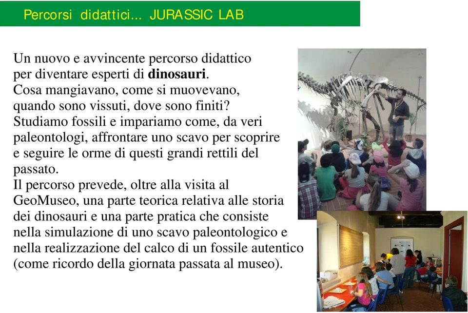 Studiamo fossili e impariamo come, da veri paleontologi, affrontare uno scavo per scoprire e seguire le orme di questi grandi rettili del passato.