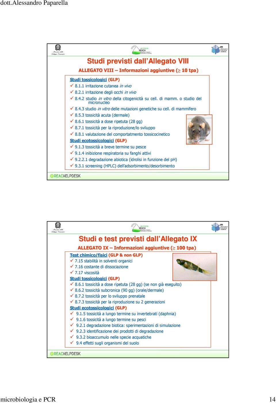 1 tossicità a dose ripetuta (28 gg) 8.7.1 tossicità per la riproduzione/lo sviluppo 8.8.1 valutazione del comportatmento tossicocinetico Studi ecotossicologici (GLP) 9.1.3 tossicità a breve termine su pesce 9.