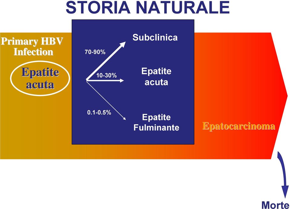 Epatite cronica 0.1-0.