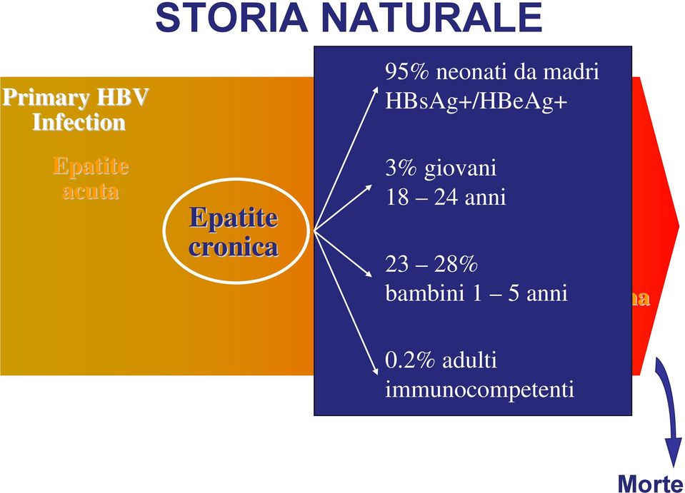 3% giovani 18 24 anni Cirrosi 23 28% bambini 1