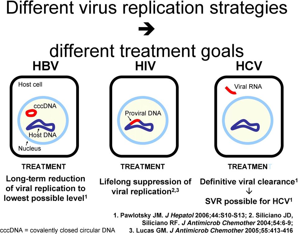 viral replication 2,3 Definitive viral clearance 1 SVR possible for HCV 1 1. Pawlotsky JM. J Hepatol 2006;44:S10-S13; 2.