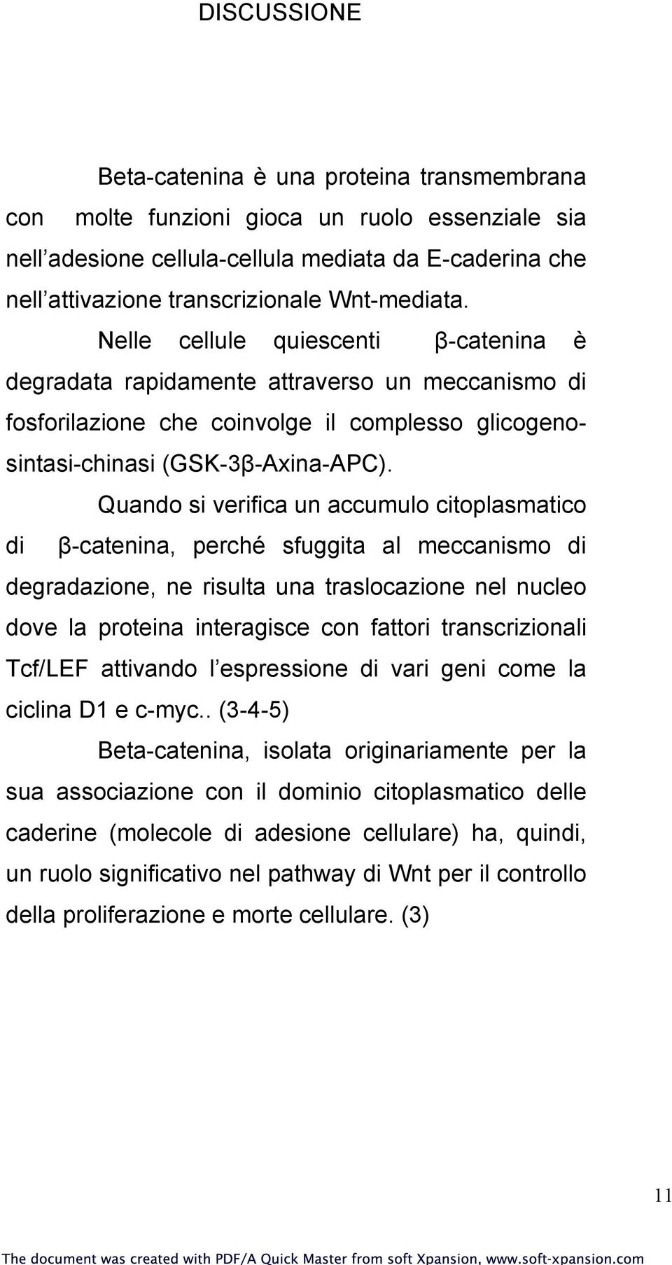 Quando si verifica un accumulo citoplasmatico di β-catenina, perché sfuggita al meccanismo di degradazione, ne risulta una traslocazione nel nucleo dove la proteina interagisce con fattori