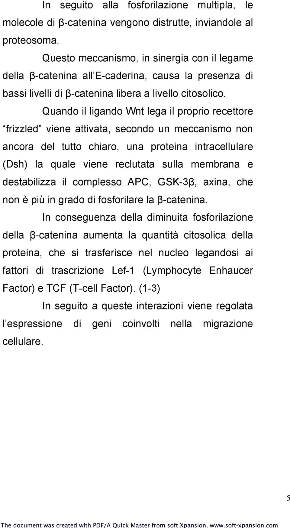 Quando il ligando Wnt lega il proprio recettore frizzled viene attivata, secondo un meccanismo non ancora del tutto chiaro, una proteina intracellulare (Dsh) la quale viene reclutata sulla membrana e