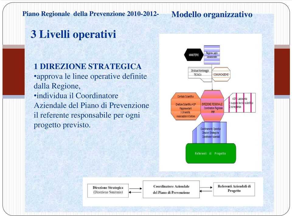 definite dalla Regione, individua il Coordinatore Aziendale del