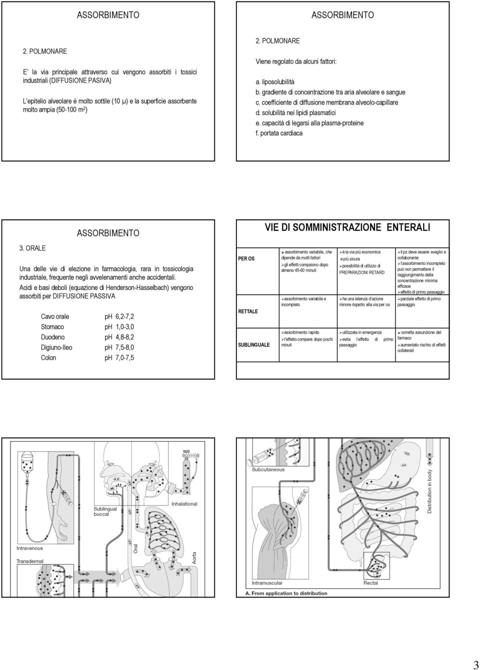 solubilità nei lipidi plasmatici e. capacità di legarsi alla plasma-proteine f. portata cardiaca VIE DI SOMMINISTRAZIONE ENTERALI 3.
