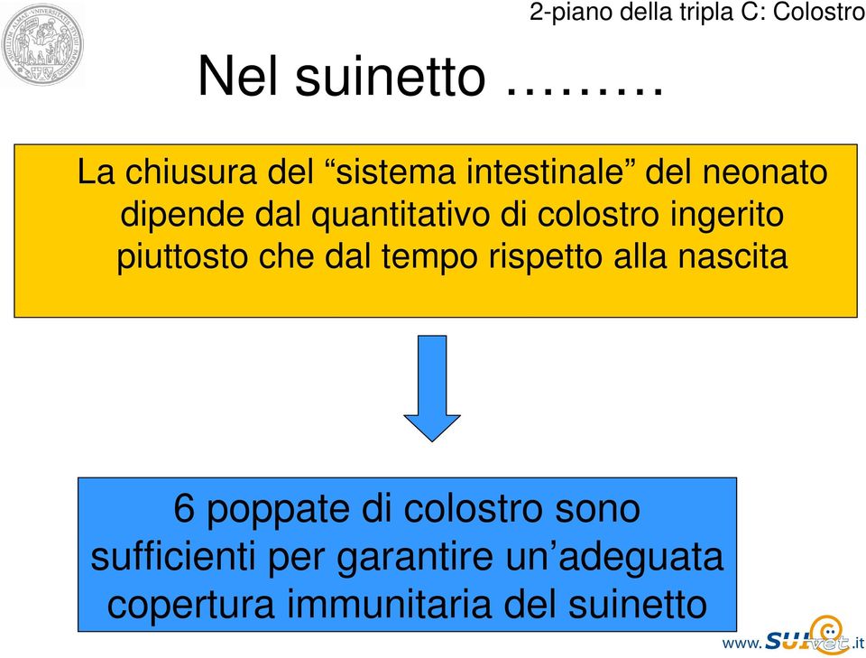 piuttosto che dal tempo rispetto alla nascita 6 poppate di colostro