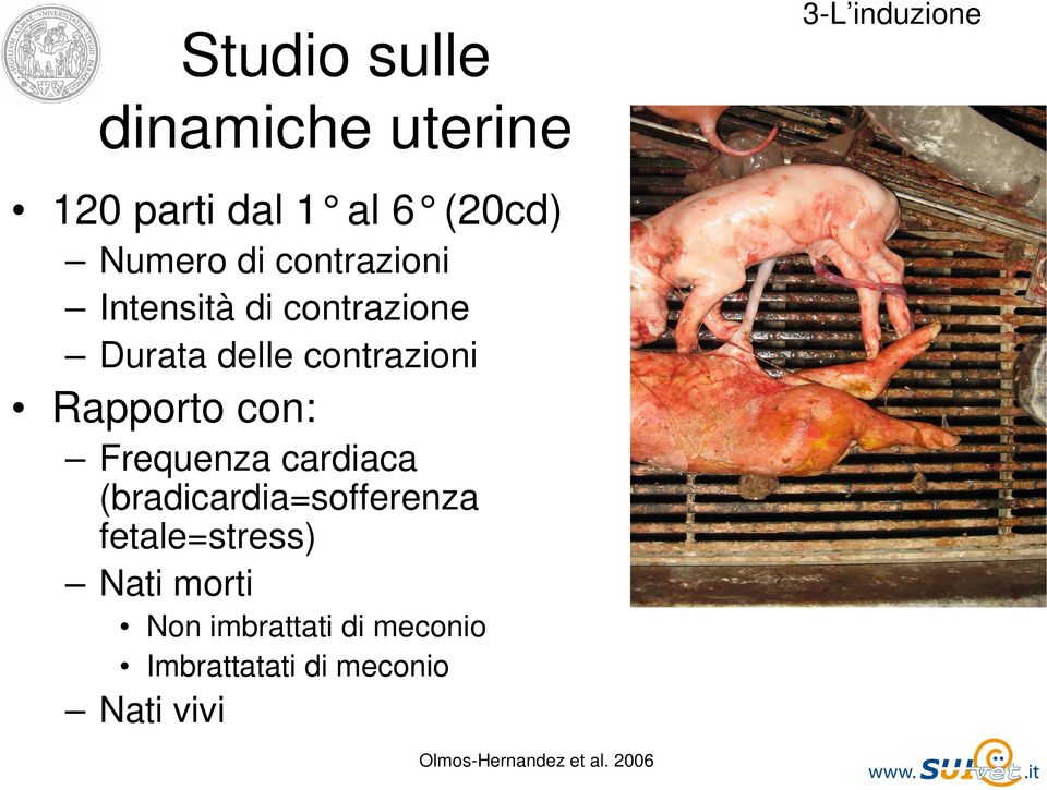 Rapporto con: Frequenza cardiaca (bradicardia=sofferenza fetale=stress) Nati