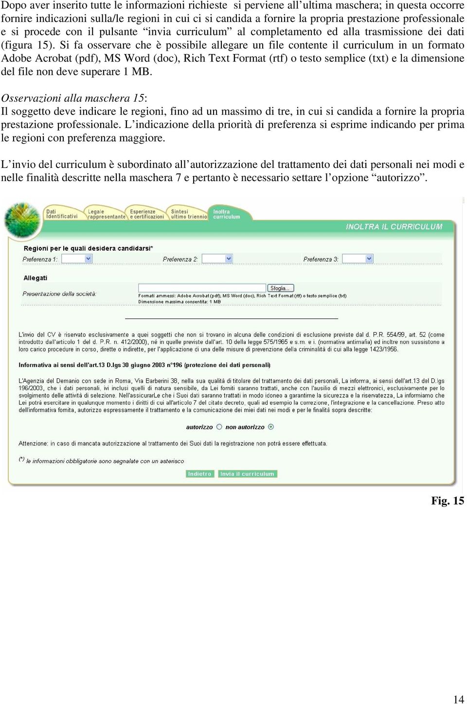 Si fa osservare che è possibile allegare un file contente il curriculum in un formato Adobe Acrobat (pdf), MS Word (doc), Rich Text Format (rtf) o testo semplice (txt) e la dimensione del file non