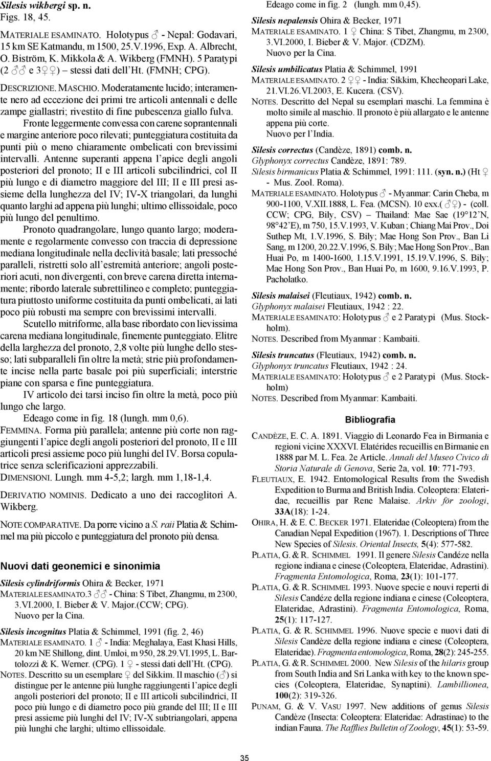 Moderatamente lucido; interamente nero ad eccezione dei primi tre articoli antennali e delle zampe giallastri; rivestito di fine pubescenza giallo fulva.