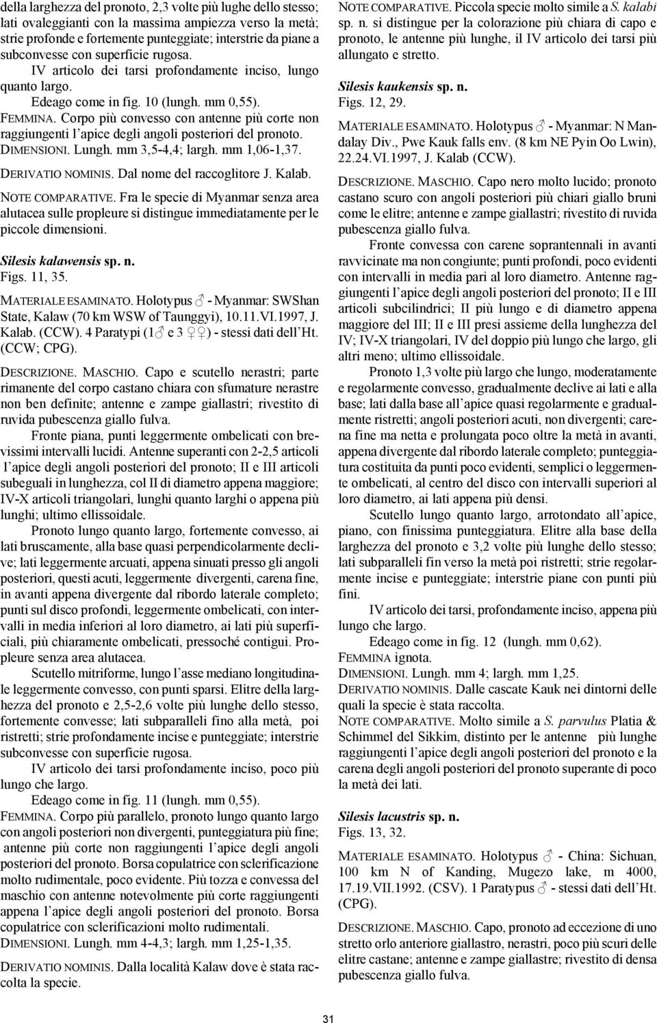 Corpo più convesso con antenne più corte non raggiungenti l apice degli angoli posteriori del pronoto. DIMENSIONI. Lungh. mm 3,5-4,4; largh. mm 1,06-1,37. DERIVATIO NOMINIS.