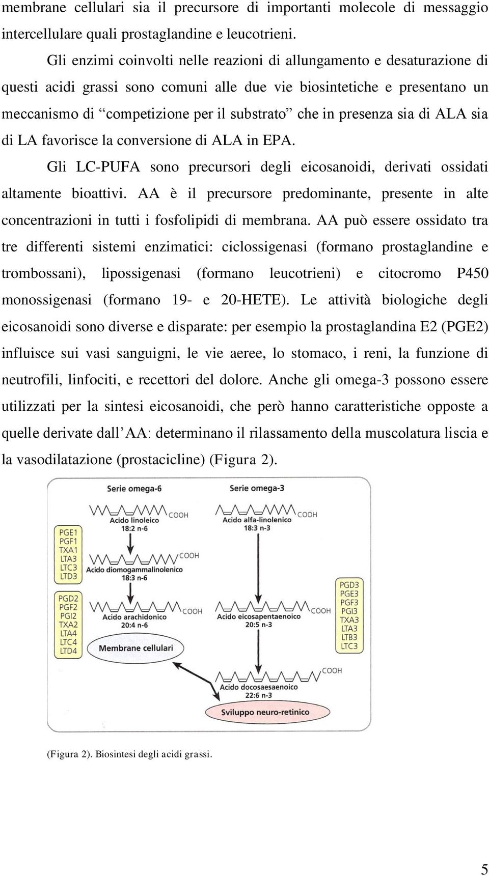 presenza sia di ALA sia di LA favorisce la conversione di ALA in EPA. Gli LC-PUFA sono precursori degli eicosanoidi, derivati ossidati altamente bioattivi.