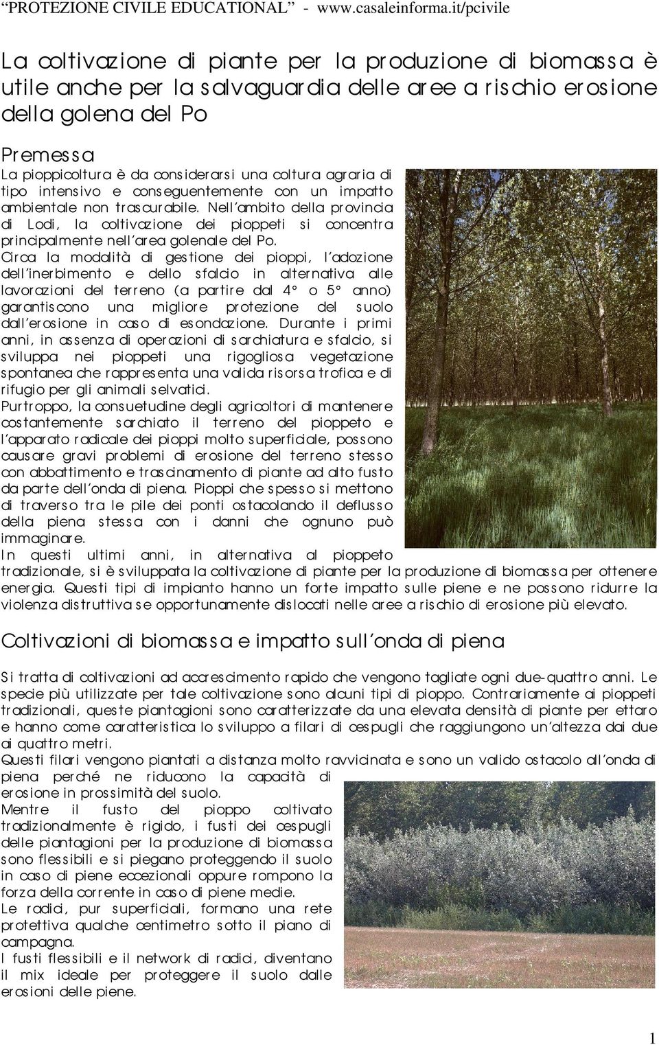 Nell ambito della pr ovincia di Lodi, la coltivaz ione dei pioppeti si concentra principalmente nell ar ea golenale del Po.