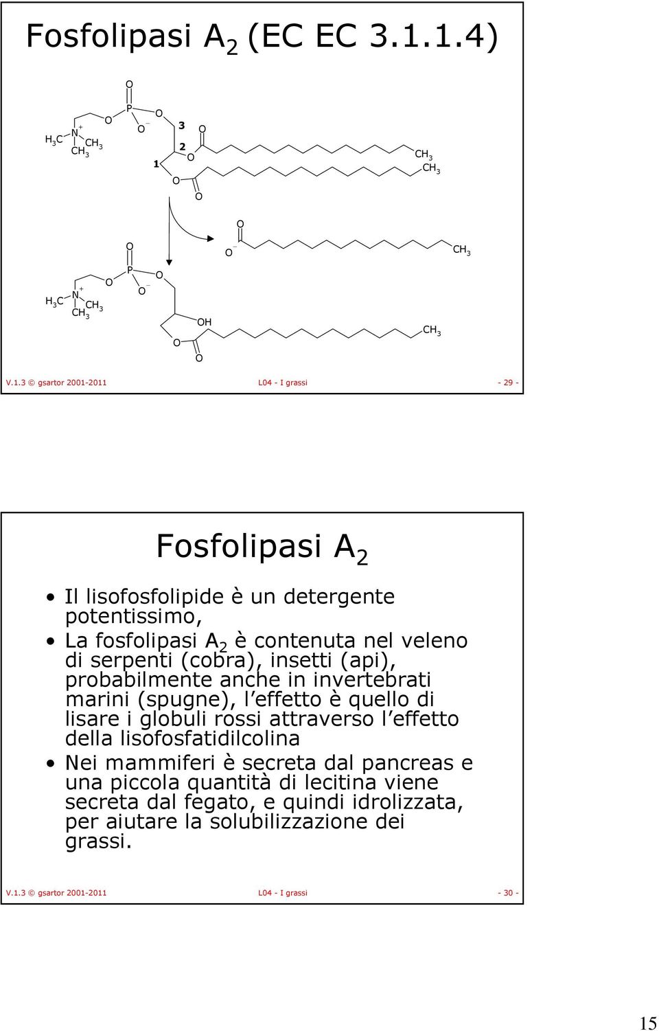 potentissimo, La fosfolipasi A 2 è contenuta nel veleno di serpenti (cobra), insetti (api), probabilmente anche in invertebrati marini (spugne), l effetto è