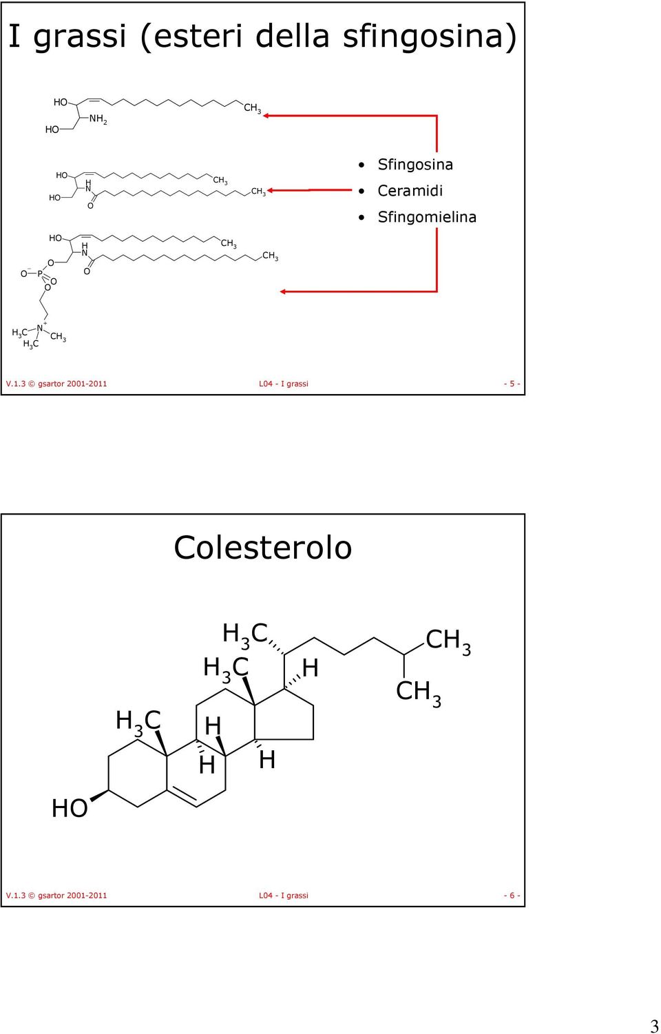 V.1.3 gsartor 2001-2011 L04 - I grassi - 5 - Colesterolo