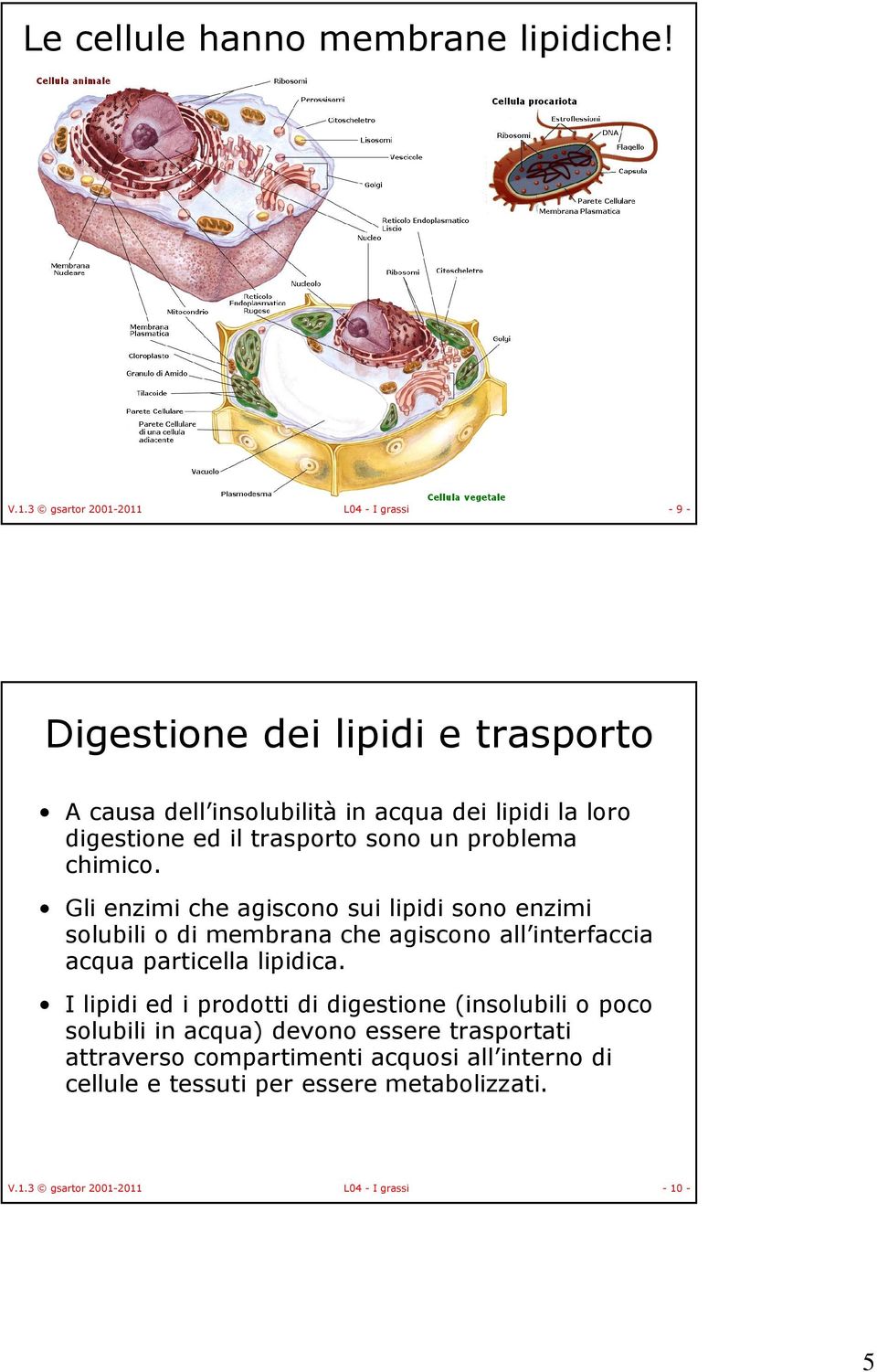 trasporto sono un problema chimico.