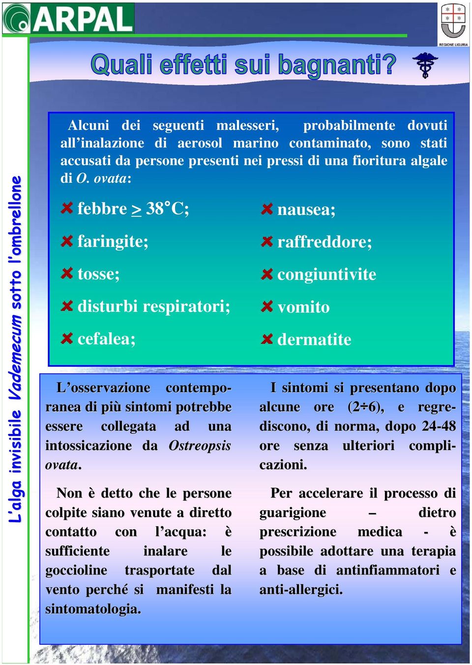 rimangono presenti a nei contatto, pressi di è una possibile fioritura accusare algale alcuni di O.