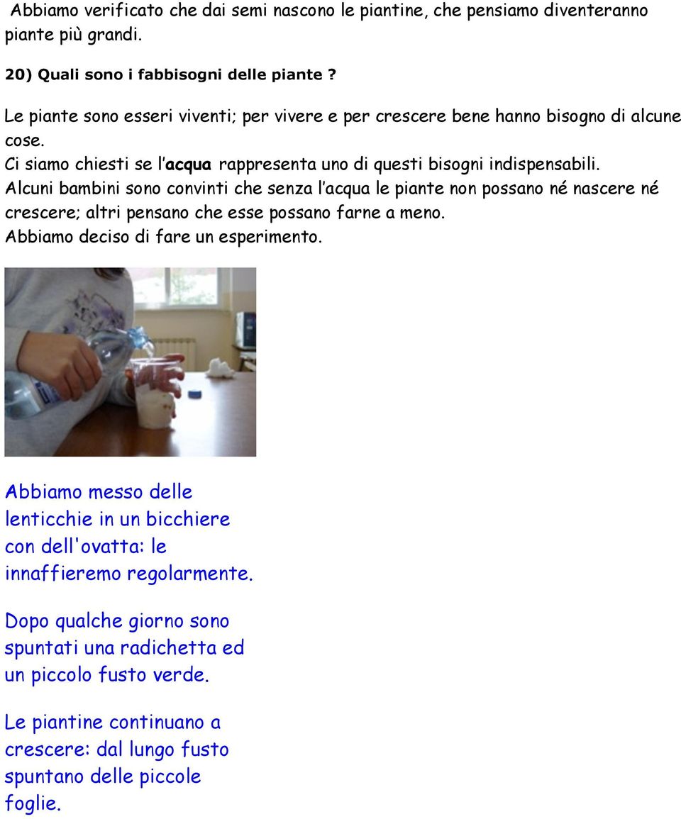 Alcuni bambini sono convinti che senza l acqua le piante non possano né nascere né crescere; altri pensano che esse possano farne a meno. Abbiamo deciso di fare un esperimento.