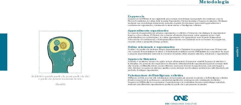 Si sviluppa mediante una metodologia di intervento maieutica in grado di velocizzare i processi di apprendimento e cambiamento organizzativo, valorizzando le risorse interne e l intelligenza