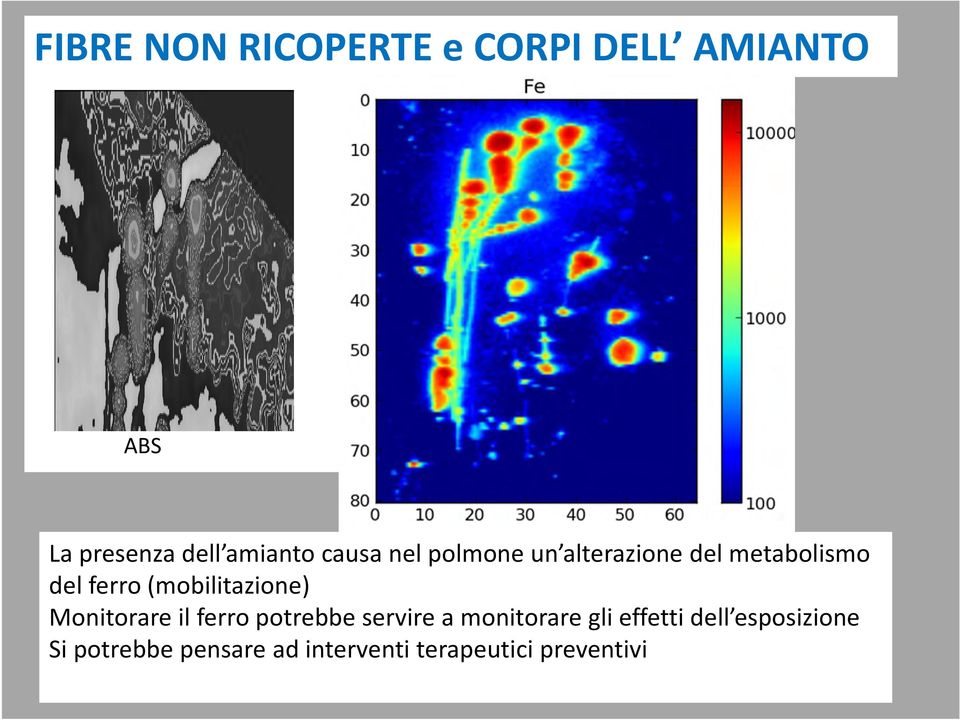 (mobilitazione) Monitorare il ferro potrebbe servire a monitorare gli