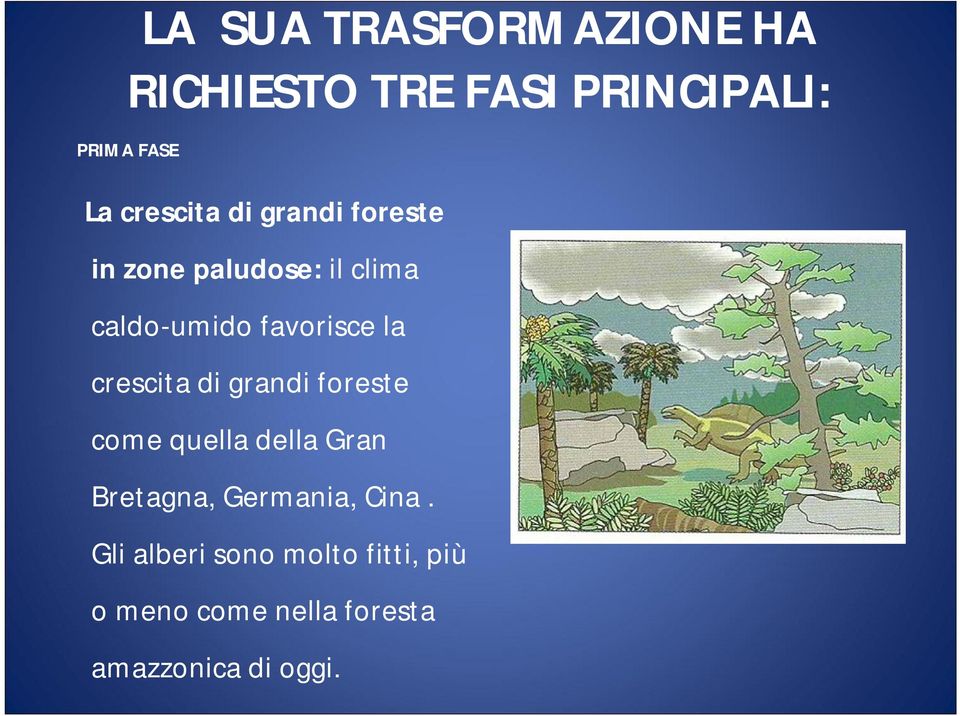 la crescita di grandi foreste come quella della Gran Bretagna, Germania,