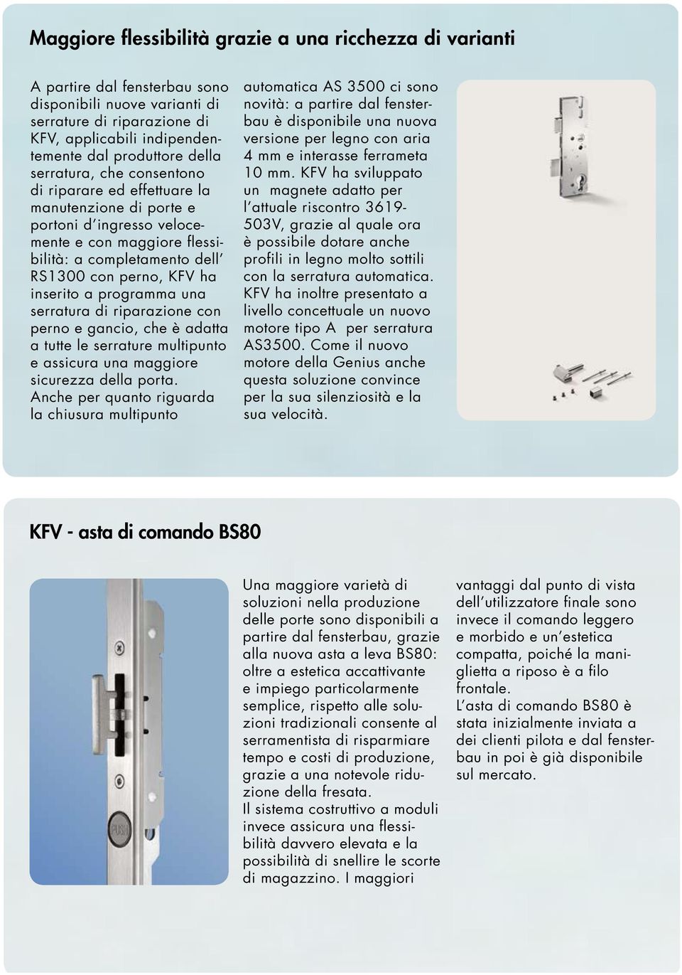 a programma una serratura di riparazione con perno e gancio, che è adatta a tutte le serrature multipunto e assicura una maggiore sicurezza della porta.