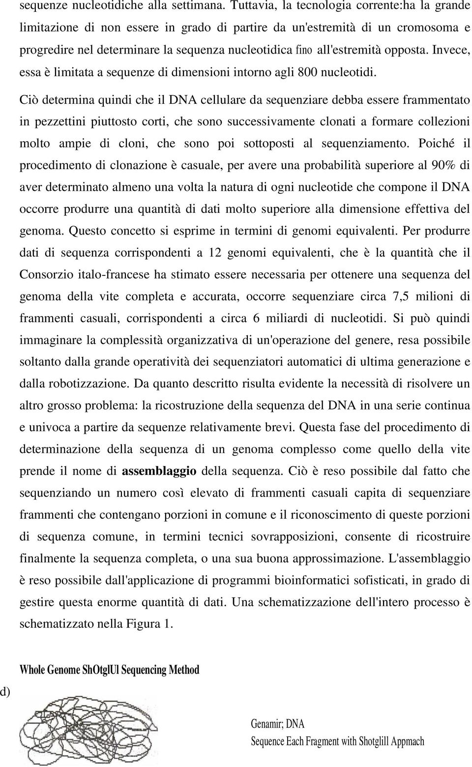 opposta. Invece, essa è limitata a sequenze di dimensioni intorno agli 800 nucleotidi.