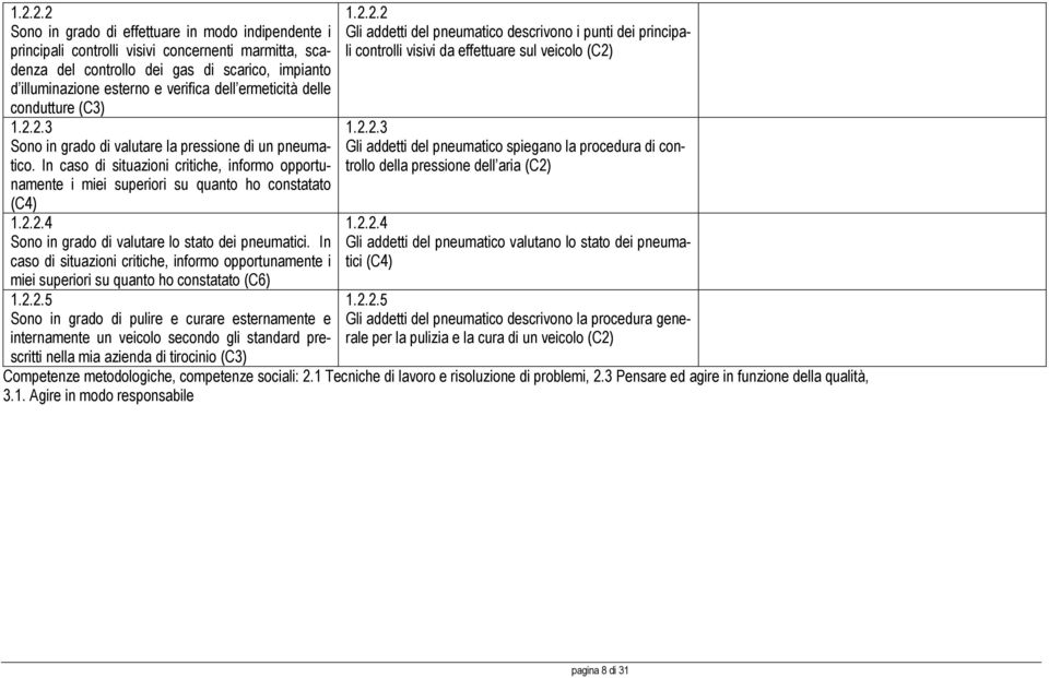 grado di effettuare in modo indipendente i principali controlli visivi concernenti marmitta, scadenza del controllo dei gas di scarico, impianto d illuminazione esterno e verifica dell ermeticità