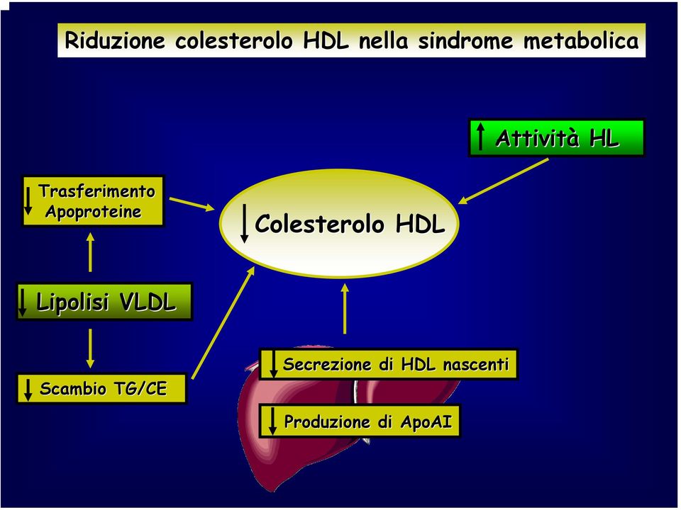 Apoproteine Colesterolo HDL Lipolisi VLDL