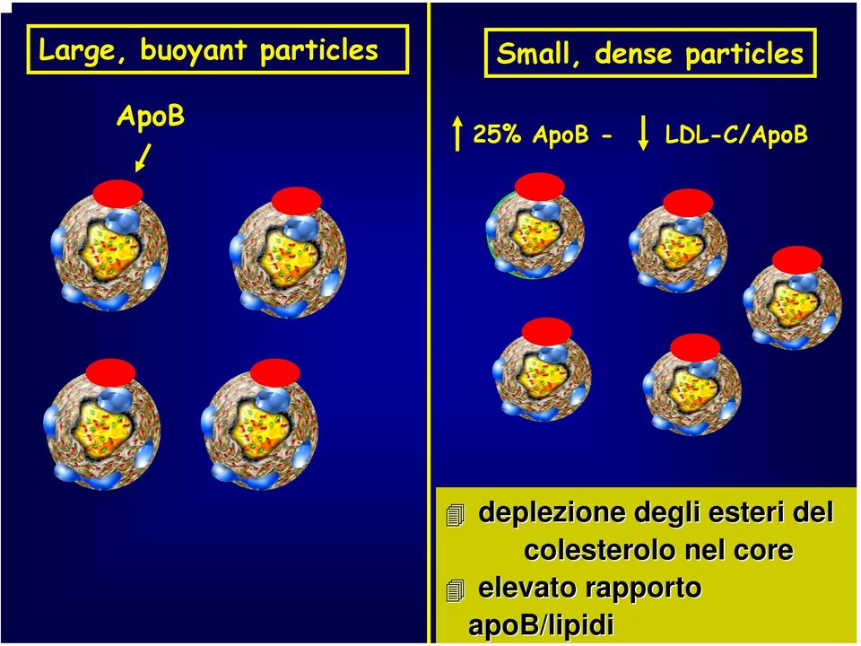 deplezione degli esteri del