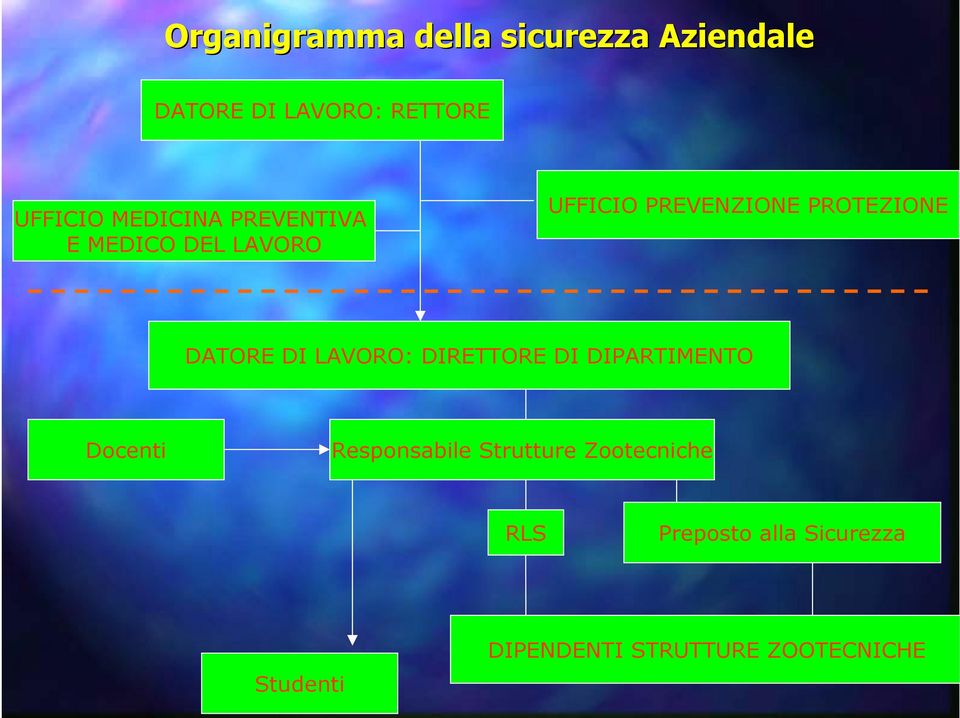 DATORE DI LAVORO: DIRETTORE DI DIPARTIMENTO Docenti Responsabile Strutture