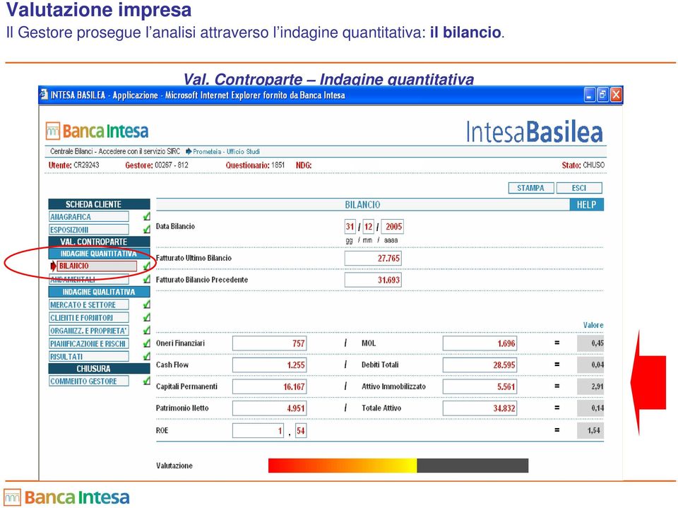 indagine quantitativa: il bilancio.