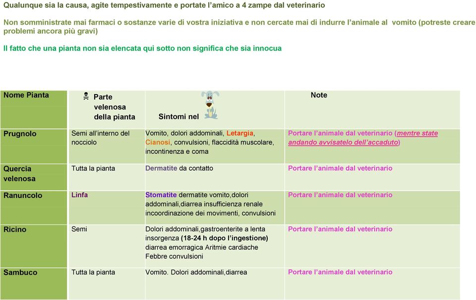 vomito,dolori addominali,diarrea insufficienza renale incoordinazione dei movimenti, convulsioni Ricino Semi Dolori addominali,gastroenterite