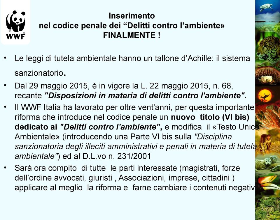 Il WWF Italia ha lavorato per oltre vent'anni, per questa importante riforma che introduce nel codice penale un nuovo titolo (VI bis) dedicato ai "Delitti contro l'ambiente", e modifica il «Testo