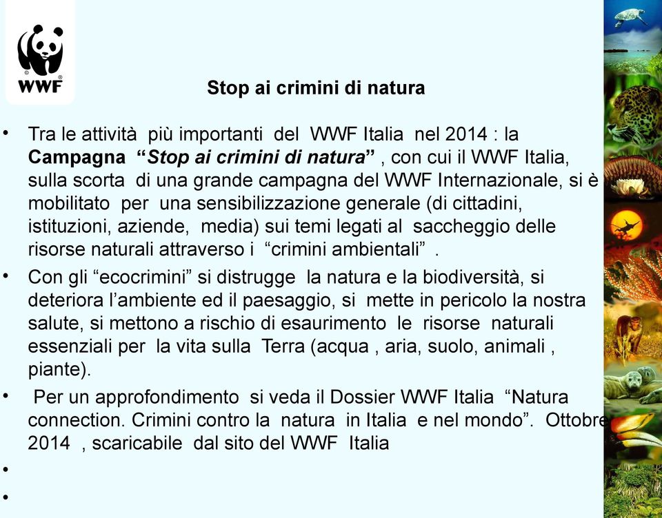 Con gli ecocrimini si distrugge la natura e la biodiversità, si deteriora l ambiente ed il paesaggio, si mette in pericolo la nostra salute, si mettono a rischio di esaurimento le risorse naturali