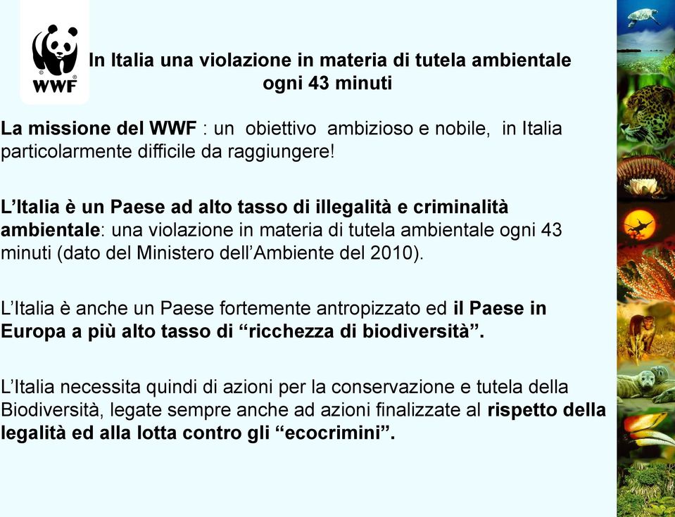 L Italia è un Paese ad alto tasso di illegalità e criminalità ambientale: una violazione in materia di tutela ambientale ogni 43 minuti (dato del Ministero dell