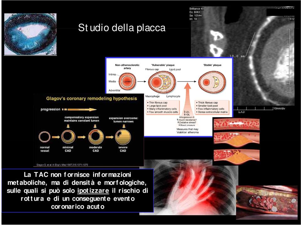 morfologiche, sulle quali si può solo ipotizzare