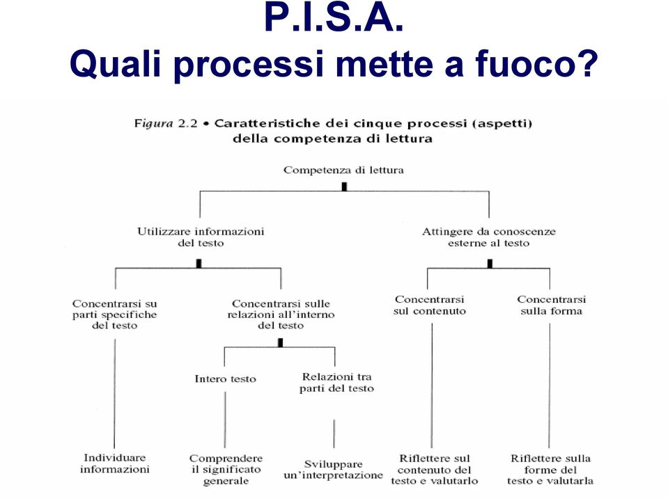 processi