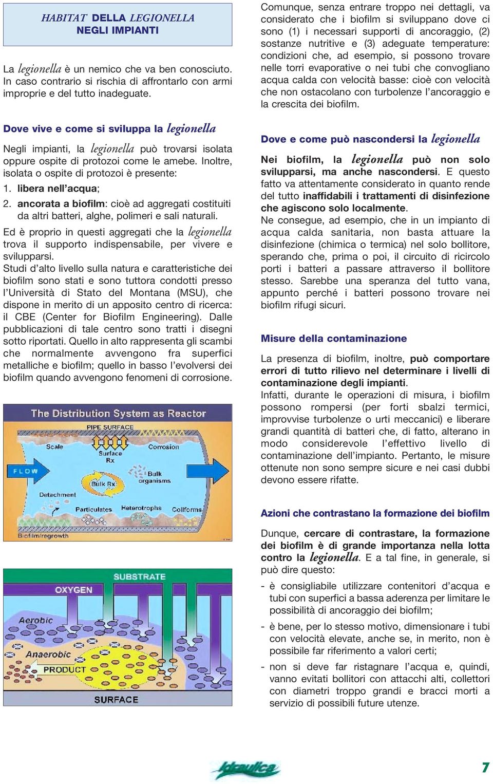 libera nell acqua; 2. ancorata a biofilm: cioè ad aggregati costituiti da altri batteri, alghe, polimeri e sali naturali.