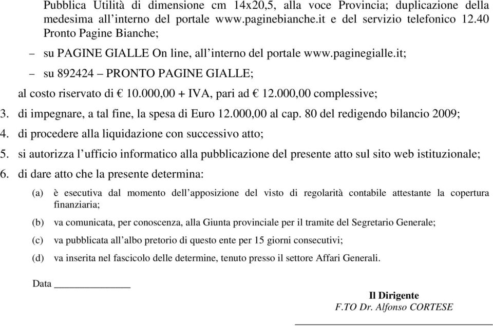 000,00 complessive; 3. di impegnare, a tal fine, la spesa di Euro 12.000,00 al cap. 80 del redigendo bilancio 2009; 4. di procedere alla liquidazione con successivo atto; 5.