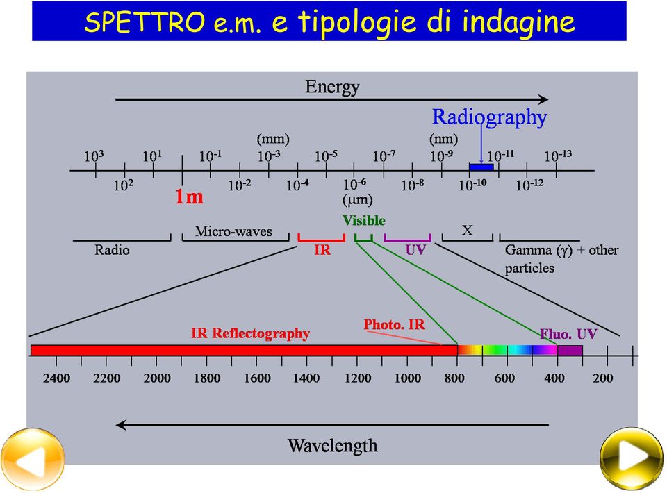 tipologie