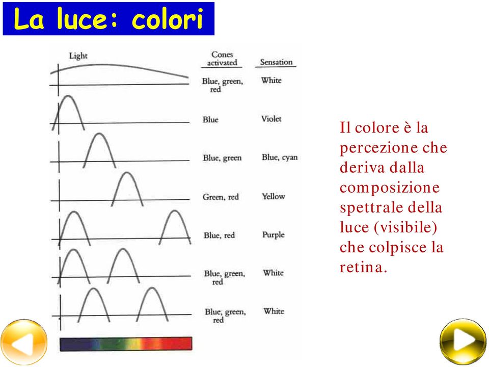 composizione spettrale della