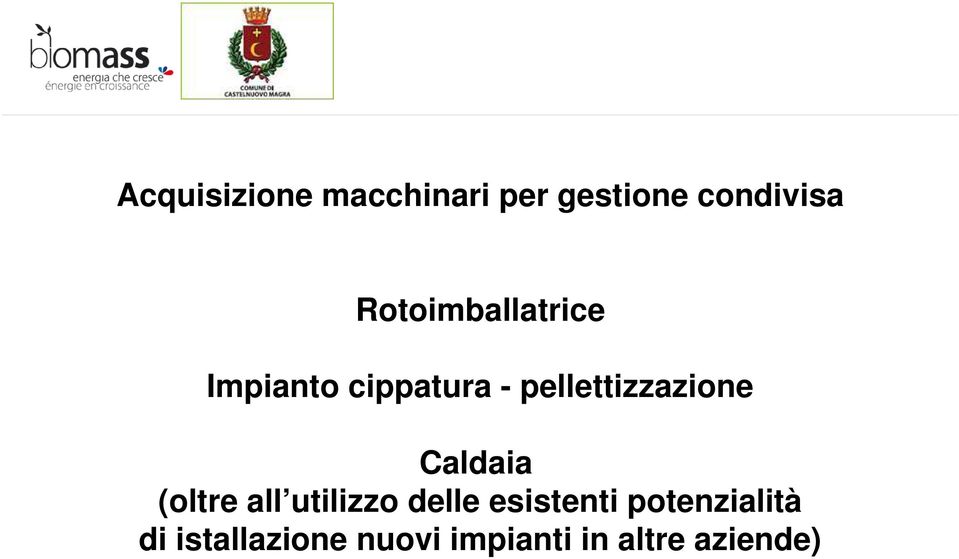 pellettizzazione Caldaia (oltre all utilizzo delle