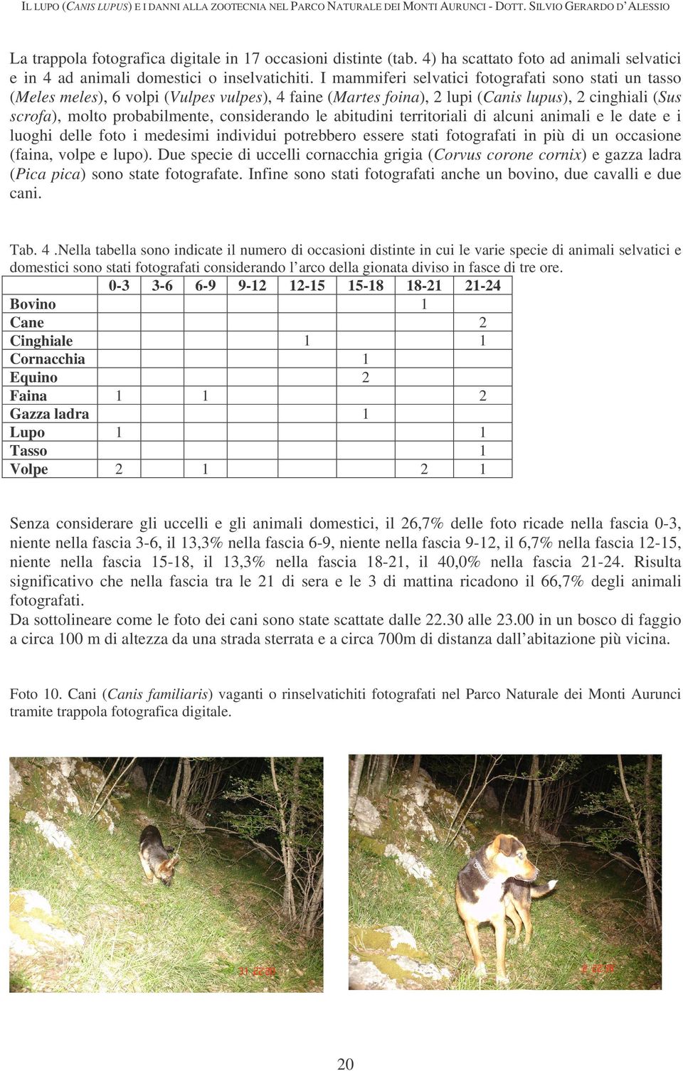 I mammiferi selvatici fotografati sono stati un tasso (Meles meles), 6 volpi (Vulpes vulpes), 4 faine (Martes foina), 2 lupi (Canis lupus), 2 cinghiali (Sus scrofa), molto probabilmente, considerando